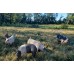 Pastured, Non-GMO Seasoned Ground Pork Pastured, Non-GMO Seasoned Ground Pork