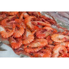 16/20 Wild Caught Argentine Red Shrimp, Shell-on (EZ Peel)