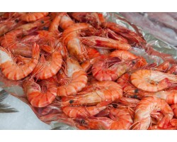 16/20 Wild Caught Argentine Red Shrimp, Shell-on (EZ Peel) 16/20 Wild Caught Argentine Red Shrimp, Shell-on (EZ Peel)